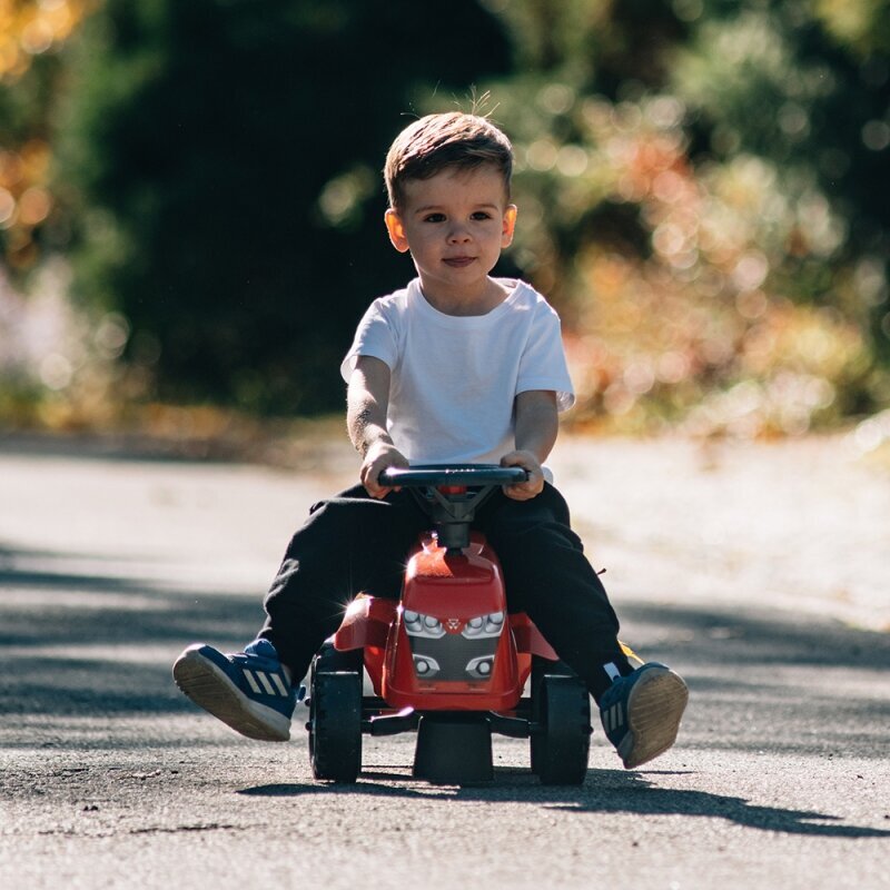 Traktor koos haagisega - Baby Massey Ferguson, punane цена и информация | Imikute mänguasjad | kaup24.ee