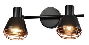 Candellux Neria потолочный светильник 92-81780 цена и информация | Потолочные светильники | kaup24.ee