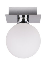 Candellux Oden потолочный светильник 91-03195 цена и информация | Candellux Освещение | kaup24.ee