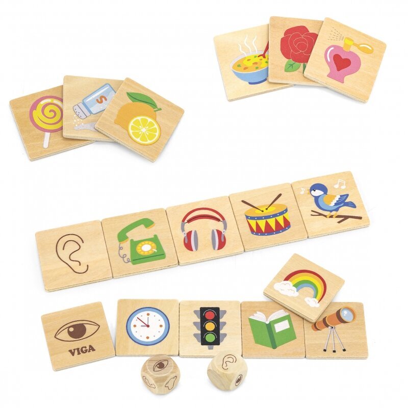 Puidust pusle - Learning Senses hind ja info | Imikute mänguasjad | kaup24.ee