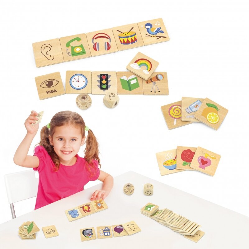 Puidust pusle - Learning Senses hind ja info | Imikute mänguasjad | kaup24.ee