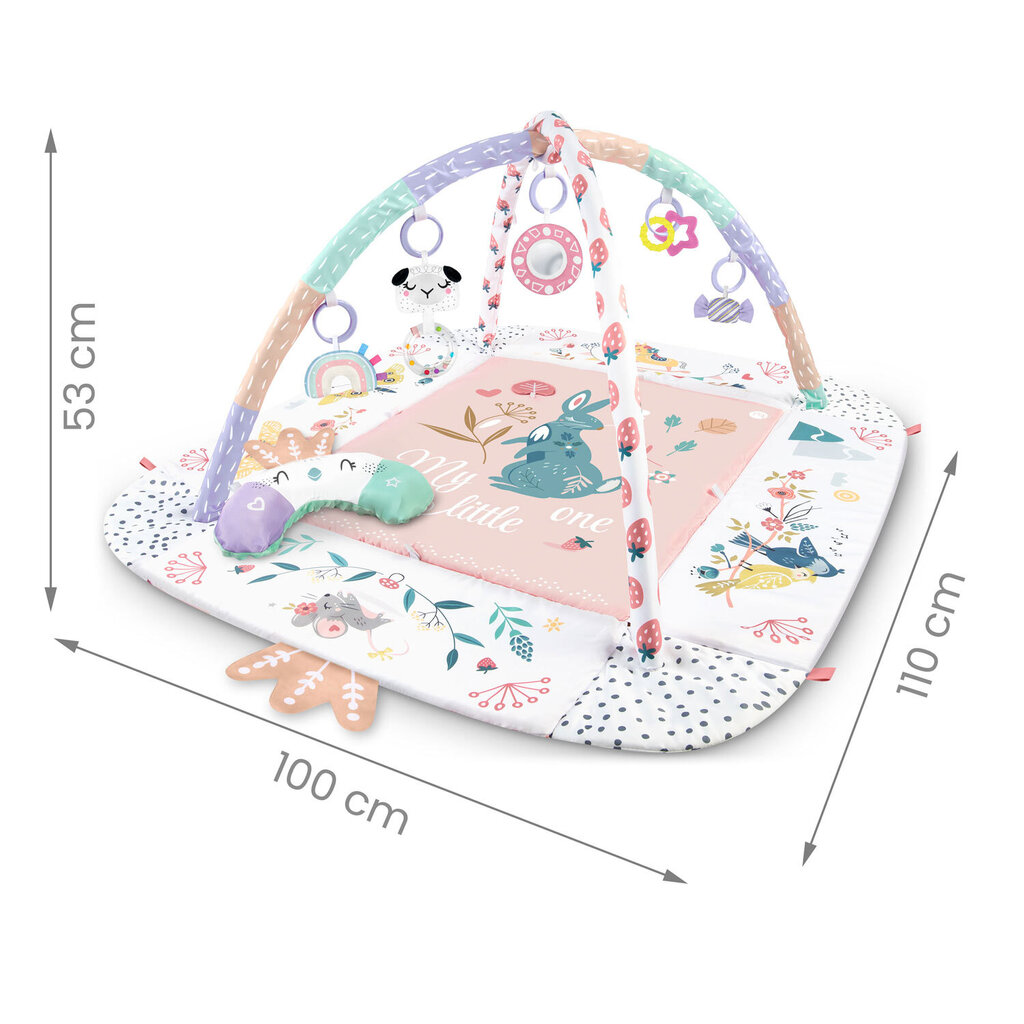 Õppematt - mänguaed, 110 x 100 cm hind ja info | Imikute mänguasjad | kaup24.ee