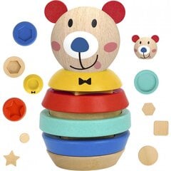 Puidust puzzle Tooky mänguasi - Teddy Bear цена и информация | Игрушки для малышей | kaup24.ee