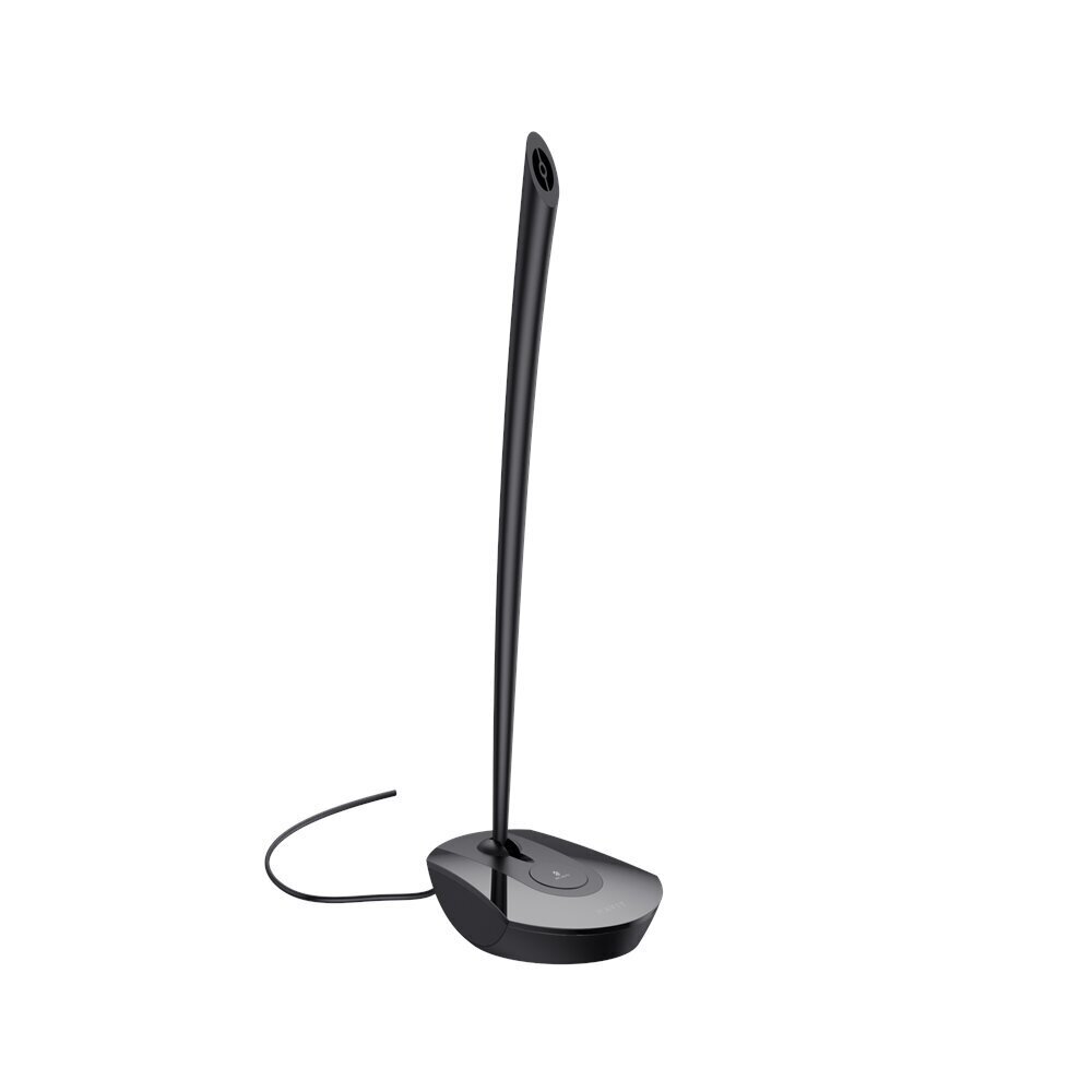 HAVIT computer microphone H208D wired jack 3,5mm black цена и информация | Mikrofonid | kaup24.ee
