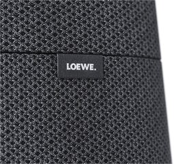 Loewe Klang MR5 Multiroom Speaker, серая цена и информация | Аудио колонки | kaup24.ee