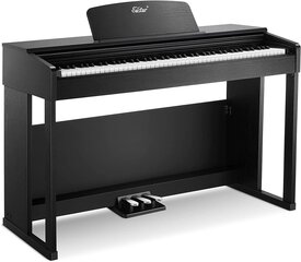 Цифровое пианино Eastar, 88 клавиш цена и информация | Клавишные музыкальные инструменты | kaup24.ee