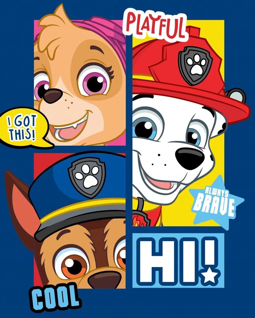 Tekk Paw Patrol, 100 x 140 cm цена и информация | Voodikatted, pleedid | kaup24.ee