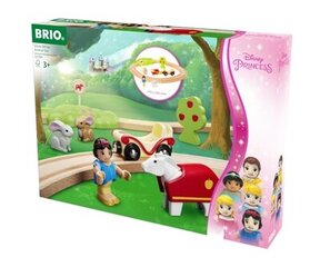 Disney puidust raudtee lumivalgeke ja loomad Brio hind ja info | Arendavad mänguasjad | kaup24.ee