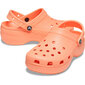 Naiste jalanõud Crocs™ Classic Platform Clog 180258 цена и информация | Naiste sandaalid | kaup24.ee