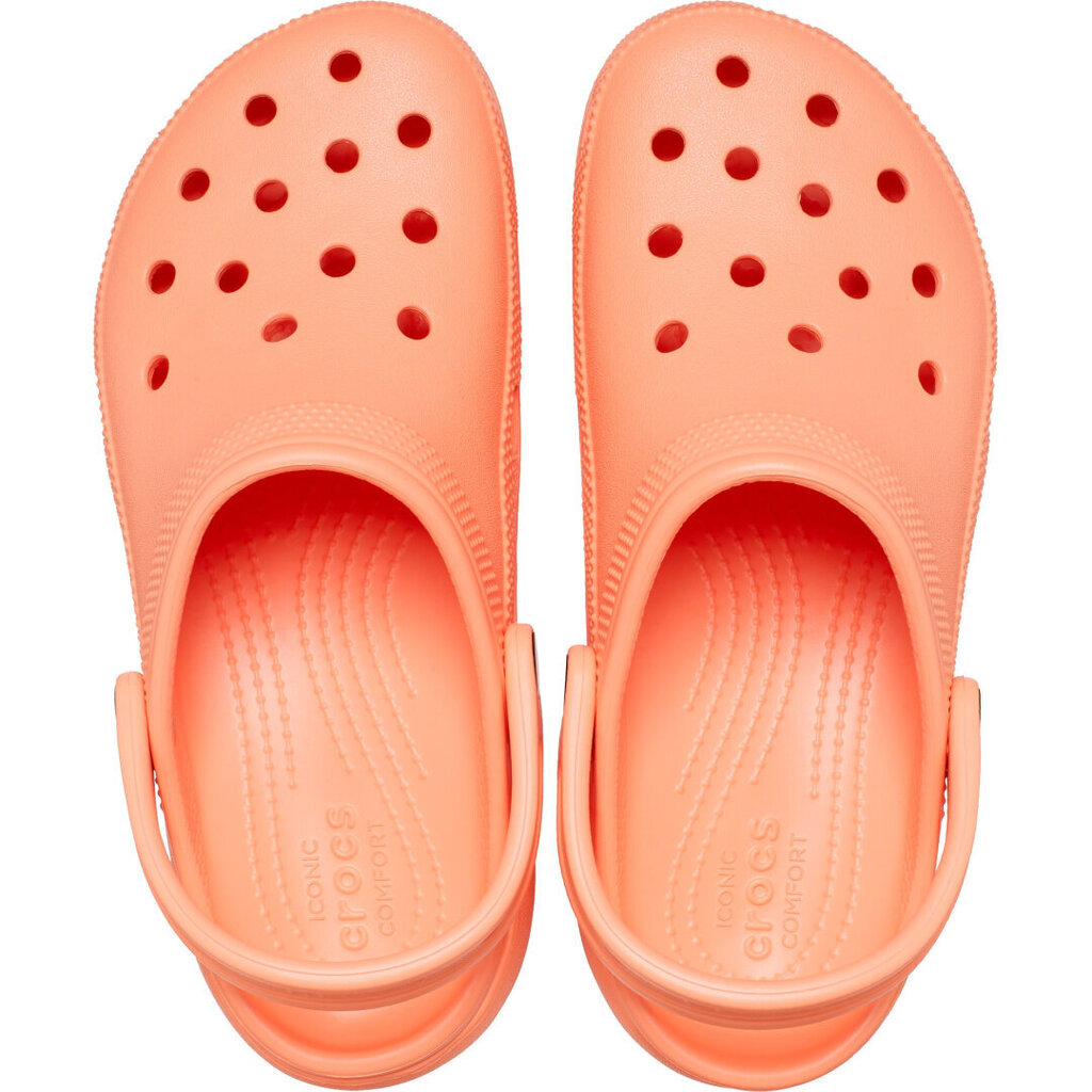 Naiste jalanõud Crocs™ Classic Platform Clog 180258 цена и информация | Naiste sandaalid | kaup24.ee