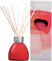 fragrance diffuser Sunkiss Orange & White Flowers 45 ml - hind ja info | Kodulõhnastajad | kaup24.ee