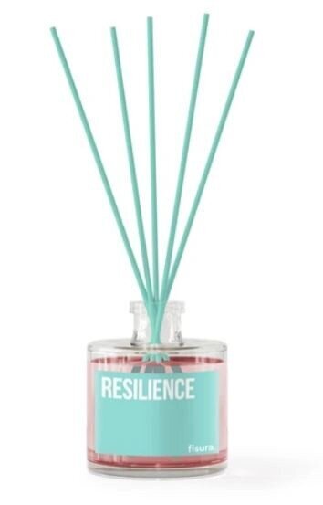 fragrance sticks Resilience 100 ml glass/wood blue/pink - hind ja info | Kodulõhnastajad | kaup24.ee