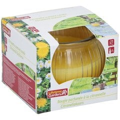 scented candle citronella in holder 7 x 6 cm - цена и информация | Свечи, подсвечники | kaup24.ee