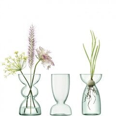 Набор ваз из 3 штук Canopy цена и информация | Vaasid | kaup24.ee