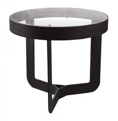 side table Douglas41 x 40 cm glass/steel black - hind ja info | Diivanilauad | kaup24.ee