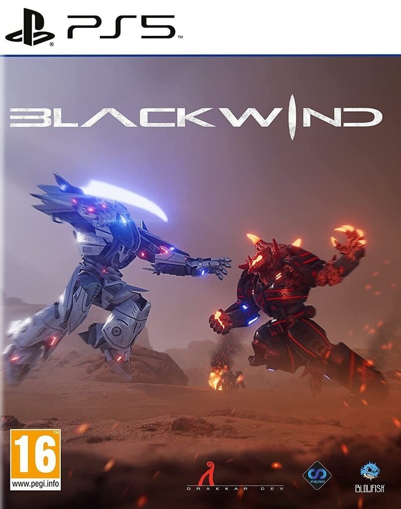 Blackwind PS5 hind ja info | Arvutimängud, konsoolimängud | kaup24.ee