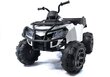 QUAD-mootorratas lastele 0909, valge hind ja info | Laste elektriautod | kaup24.ee