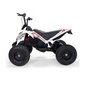 Elektriline Quad Bike lastele X-Treme, valge hind ja info | Laste elektriautod | kaup24.ee