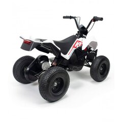 Elektriline Quad Bike lastele X-Treme, valge цена и информация | Электромобили для детей | kaup24.ee