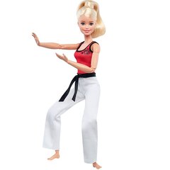 Barbie Martial Artist hind ja info | Tüdrukute mänguasjad | kaup24.ee