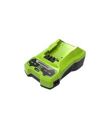 24V 2A Greenworks G24C laadija - 2932407 цена и информация | Шуруповерты, дрели | kaup24.ee