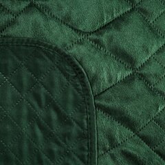 Покрывало Luiz3, зеленое, 170 x 210 см цена и информация | Покрывала, пледы | kaup24.ee