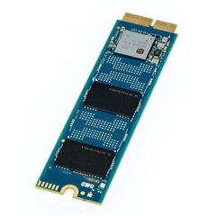 OWC AURA N2 SSD 240GB internal hard disk (MBP MID-2013-2015, MBA 2013 цена и информация | Внутренние жёсткие диски (HDD, SSD, Hybrid) | kaup24.ee