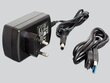 Adapter Delock 62486 цена и информация | USB jagajad, adapterid | kaup24.ee