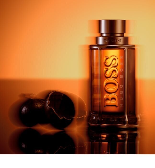 Parfüümvesi Hugo Boss BOSS The Scent Le Parfum EDP meestele 100 ml цена и информация | Meeste parfüümid | kaup24.ee