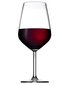 Pasabahce veiniklaasid Allegra 490 ml, 6 tk. hind ja info | Klaasid, tassid ja kannud | kaup24.ee