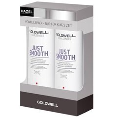 Šampoon Goldwell Dualsenses Just Smooth, 2 x 250 ml цена и информация | Шампуни | kaup24.ee