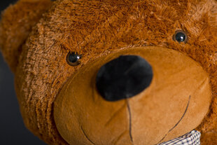 Большой плюшевый мишка Popo, 130 см, Темно-коричневый Мягкая Игрушка  цена и информация | Мягкие игрушки | kaup24.ee