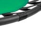 Kiik - pesa, XXL, 120 cm., roheline цена и информация | Kiiged | kaup24.ee
