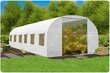 Aiatunnel - kasvuhoone, 3x6m (18m2), valge цена и информация | Kasvuhooned | kaup24.ee