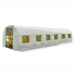 Садовый туннель - теплица, 3х6м (18м2), белый цена и информация | Теплицы | kaup24.ee