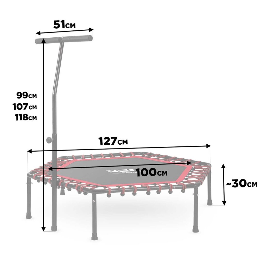 Fitness-batuut käepidemega, kuusnurk, 127 cm., punane цена и информация | Batuudid ja batuudi varuosad | kaup24.ee