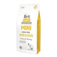 Brit Care Mini Hair & Skin teraviljavaba koeratoit 2 kg hind ja info | Brit Care Lemmikloomatarbed | kaup24.ee