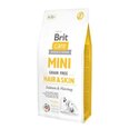 Brit Care Mini Hair & Skin teraviljavaba koeratoit 2 kg