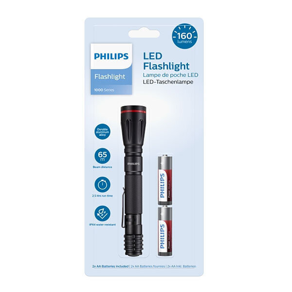 Philips Phil-SFL1001P/10 цена и информация | Taskulambid, prožektorid | kaup24.ee