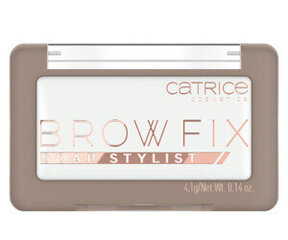 Фиксатор цвета Catrice Brown Fix 010-full and fluffy (4.1 г) цена и информация | Карандаши, краска для бровей | kaup24.ee