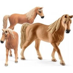 Статуэтка Mare Tennessee Walker Schleich цена и информация | Развивающие игрушки | kaup24.ee