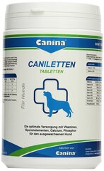 Tabletid Canina Canilleten N500, 1000 g hind ja info | Toidulisandid ja parasiitide vastased tooted | kaup24.ee