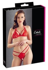 Комплект сексуального белья Lingerie Cottelli Collection, красный цена и информация | Сексуальное женское белье | kaup24.ee