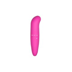 Mini g -spot vibraator - roosa цена и информация | Вибраторы | kaup24.ee