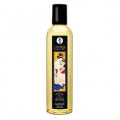 SHUNGA EROTIC MASSAGE OIL AMOUR 240ML цена и информация | Сувениры, подарки для взрослых | kaup24.ee