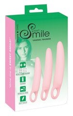 Sweet smile vaginal trainers цена и информация | Вагинальные шарики | kaup24.ee