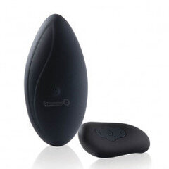 The Screaming O - Premium Ergonomic Remote Panty Set Black цена и информация | Вибраторы | kaup24.ee