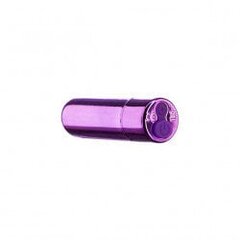 Bullet Vibrator - Purple цена и информация | Вибраторы | kaup24.ee