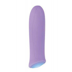 Vibraator Purple Haze, violetne hind ja info | Vibraatorid | kaup24.ee
