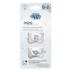 Lutid Canpol Babies Mini 0-2, 23/910, hall цена и информация | Пустышки | kaup24.ee